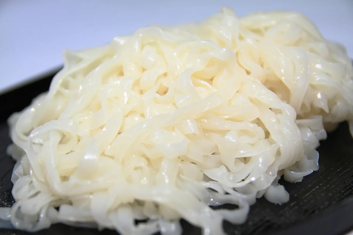 Noodles, kuey teow and bee hoon food manufacturing in Malaysia